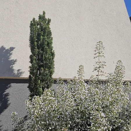 - Ihre Auszeit In Der Thermenregion Apartmán Bad Waltersdorf